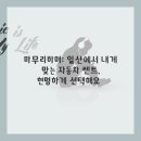 제트카써비스 이미지