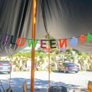 새들펜션캠핑장 이미지