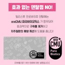 덴탈왕 | 강아지 유산균 간식 개껌 빌리스벳 &#39;프로바이츄 덴탈&#39;
