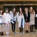 체리블렛 카카오 검색결과