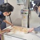 24시 아프리카동물병원 이미지