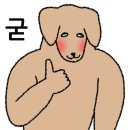 르컬렉티브 해운대 패러그라프 이미지