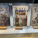 강남-291 이미지