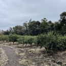 남원읍-42 이미지