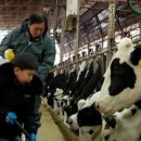 구강목장 이미지