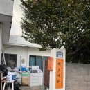 [제주] 제주도 1인 전용 아늑하고 제주감성 낭낭한&#39;제주도 조용한 게스트하우스 산방산점&#39; + 조식제공😋