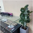 전쟁터당구장 이미지