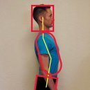 퓨어필라테스 이미지