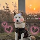 이룸외과동물병원 이미지