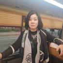 신일모피 - 용인시 기흥구 서천로127번길 4 | 신일모피