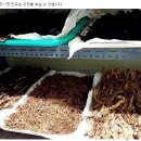 흑도깨비흑삼원 이미지