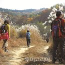 아리바우길(정선코스) 이미지