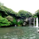 천지연 폭포 이미지