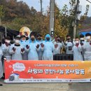 엔솔 이미지