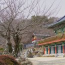 백두사