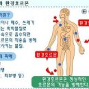 환경호르몬이란? 종류와 몸에 미치는 영향 배출 방법 이미지