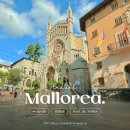 곰식's 카페(by 커피나무) | 마요르카 소예르 마을 vs 항구, 당신의 선택은?