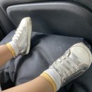 스테이 732 이미지