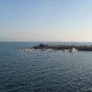 하야루비 이미지