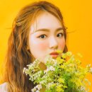 리틀플레닛스튜디오