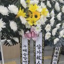 주식회사 글로브포인트 이미지