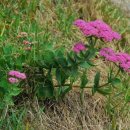 자연과 나 이미지