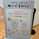 인형의 거리(호랑이 | [일본] 도쿄 긴자 ‘나가노 마켓’ 후기 | 농담곰, 치이카와 인형 종류, 가격, 위치
