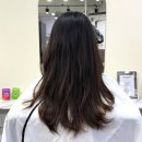 필유어벨유 이미지