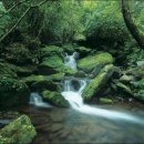 늘푸른계곡 이미지