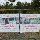 아기둥지펜션 이미지