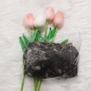 청주 분평동 쌀빵 :-) 델리스 베이커리