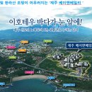 제주베이 이미지