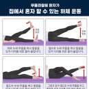 올바로 이미지