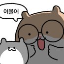 스타벅스커피 수원광교