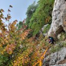 양평-용문-용문-5 이미지