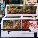 UR(파주시)-[교하로]-상-41 | 운정맛집,목동동맛집&amp;파주맛집,&amp;교하맛집인 파주대게 '대게끌림' 파주본점 다녀옴!