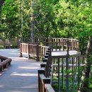 제암산자연휴양림 이미지