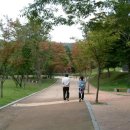 수아농장 이미지