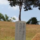 김지남 비갈 및 묘 이미지