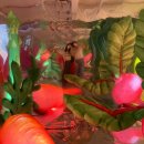 가드닝과 정원만들기 이미지