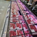 특별하개 이미지