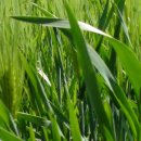 궁촌농장 이미지