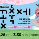 강서 낙동강30리 벚꽃축제(2025년) 이미지