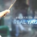 리얼스크린야구 이미지