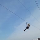마량5일시장 이미지