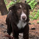 서리산농장 이미지