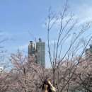 현대월드타워 | 서울근교 데이트, 롯데월드타워 전망대 솔직 후기! (ft. 초보자의 눈물)