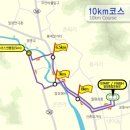 밀양농업협동조합 | 제22회 밀양아리랑 마라톤 대회10km 후기 / 기록 단축 성공!