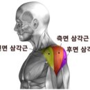 박PT 이미지