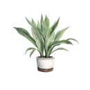 인스빌목포 이미지